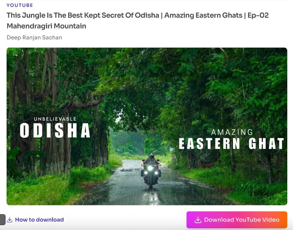 Step 4: Load the video details and confirm the preview Loaded YouTube video details with title, channel, thumbnail, and Download YouTube Video button