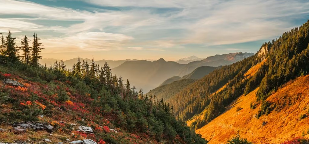 Free Image Cropper Online — Rectangle crop of a mountain landscape Free Image Cropper Online — Rectangle crop of a mountain landscape