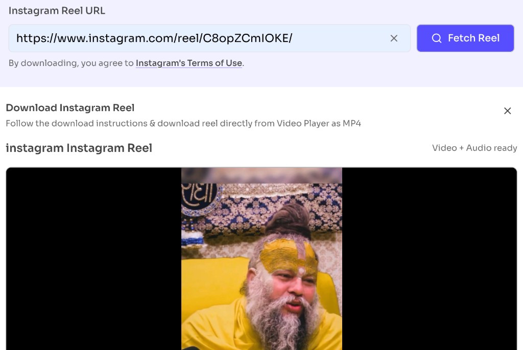 Free Instagram Story Downloader — Fetch the Instagram Story — Instagram Story Downloader — paste a Story URL and click Fetch Story